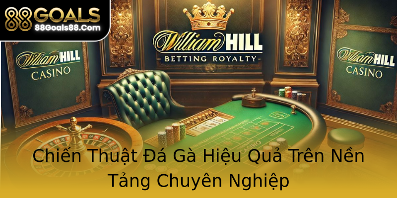 Chiến Thuật Đá Gà Hiệu Quả Trên Nền Tảng Chuyên Nghiệp Chiến Thuật Đá Gà Hiệu Quả Trên Nền Tảng Chuyên Nghiệp