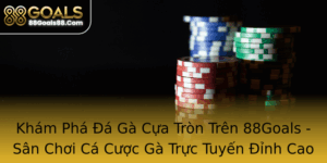 Kham Pha A Ga Cua Tron Tren 88Goals San Choi Ca Cuoc Ga Truc Tuyen Inh Cao