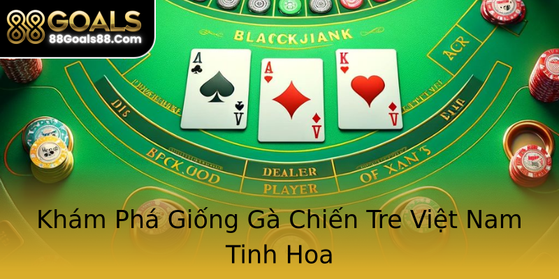 Khám Phá Giống Gà Chiến Tre Việt Nam Tinh Hoa Khám Phá Giống Gà Chiến Tre Việt Nam Tinh Hoa