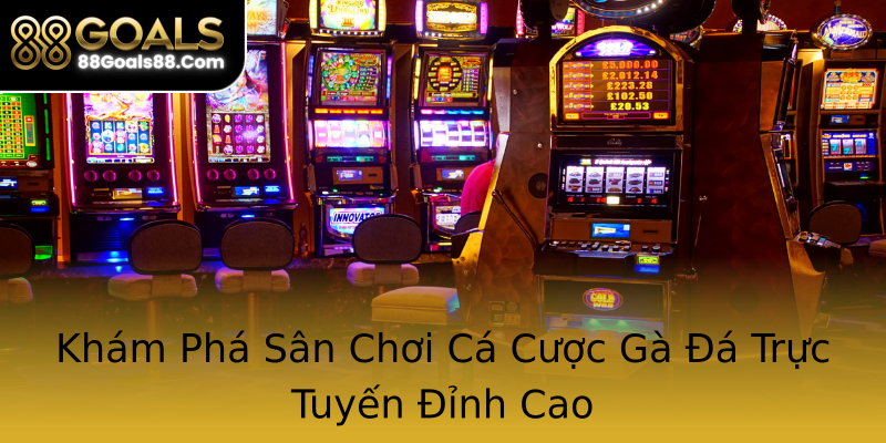 Khám Phá Sân Chơi Cá Cược Gà Đá Trực Tuyến Đỉnh Cao Khám Phá Sân Chơi Cá Cược Gà Đá Trực Tuyến Đỉnh Cao