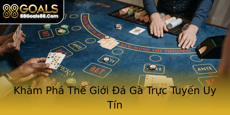 Khám Phá Thế Giới Đá Gà Trực Tuyến Uy Tín Khám Phá Thế Giới Đá Gà Trực Tuyến Uy Tín
