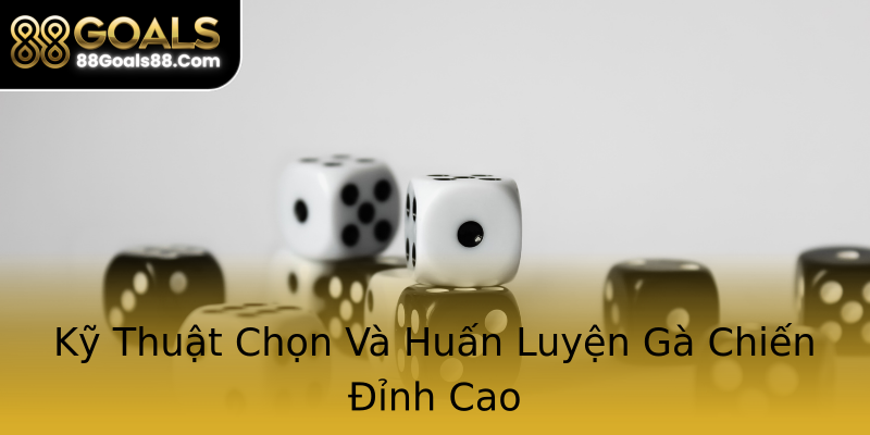 Kỹ Thuật Chọn Và Huấn Luyện Gà Chiến Đỉnh Cao Kỹ Thuật Chọn Và Huấn Luyện Gà Chiến Đỉnh Cao