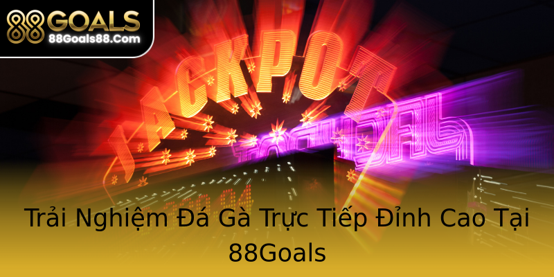 Trải Nghiệm Đá Gà Trực Tiếp Đỉnh Cao Tại 88Goals Trải Nghiệm Đá Gà Trực Tiếp Đỉnh Cao Tại 88Goals