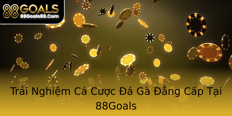 Trải Nghiệm Cá Cược Đá Gà Đẳng Cấp Tại 88Goals Trải Nghiệm Cá Cược Đá Gà Đẳng Cấp Tại 88Goals